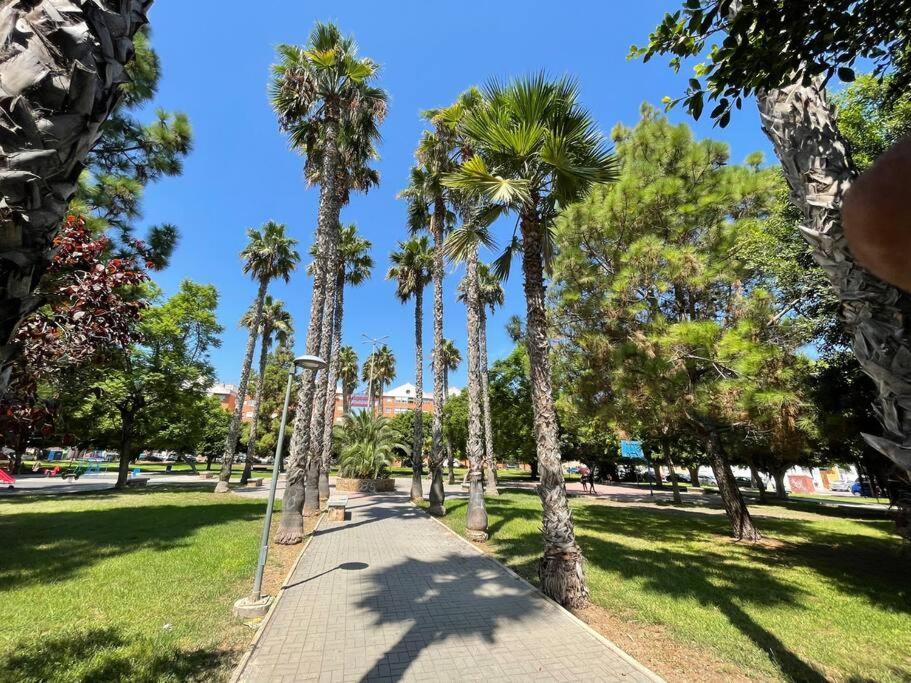 Apartament Sol Y Playa Costa Blanca Torrevieja Zewnętrze zdjęcie